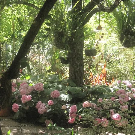 Casa Jardin La Vega Santa Brígida