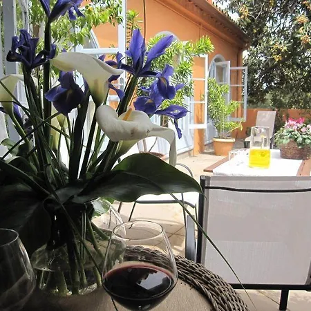 Casa Jardin La Vega * Santa Brígida