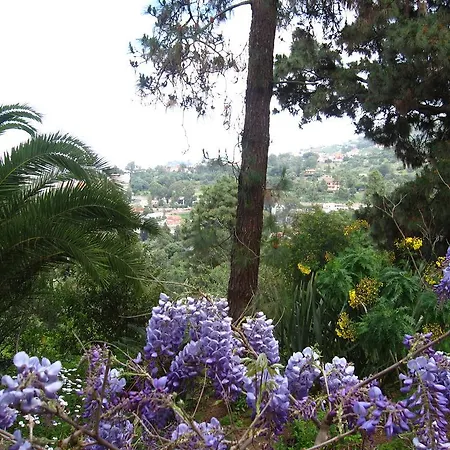 Casa Jardin La Vega